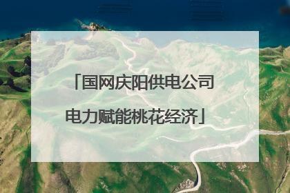 国网庆阳供电公司电力赋能桃花经济