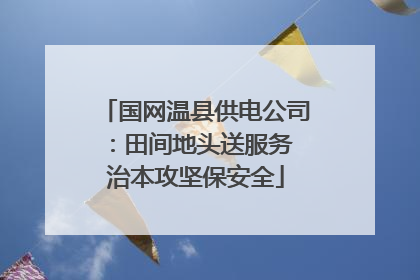 国网温县供电公司：田间地头送服务 治本攻坚保安全