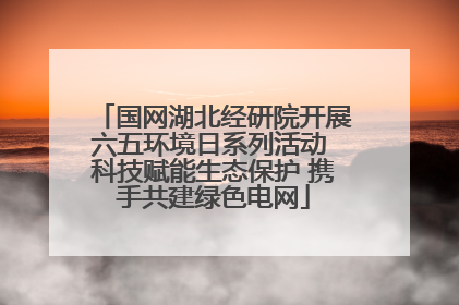 国网湖北经研院开展六五环境日系列活动 科技赋能生态保护 携手共建绿色电网