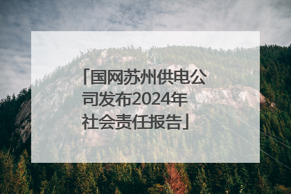 国网苏州供电公司发布2024年社会责任报告