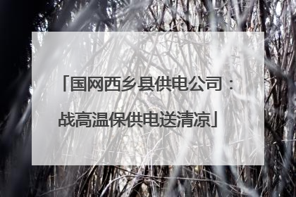国网西乡县供电公司：战高温保供电送清凉
