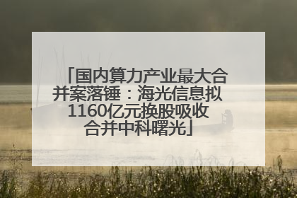 国内算力产业最大合并案落锤：海光信息拟1160亿元换股吸收合并中科曙光