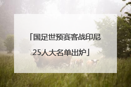 国足世预赛客战印尼25人大名单出炉