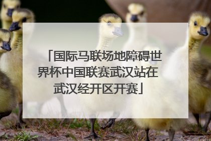 国际马联场地障碍世界杯中国联赛武汉站在武汉经开区开赛