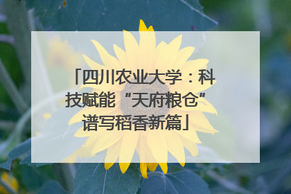 四川农业大学：科技赋能“天府粮仓”谱写稻香新篇