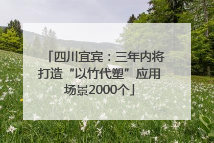 四川宜宾：三年内将打造“以竹代塑”应用场景2000个
