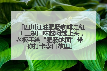 四川江油肥肠咖啡走红！三级口味越喝越上头，老板手绘“肥肠地图”带你打卡李白故里