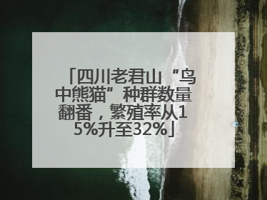 四川老君山“鸟中熊猫”种群数量翻番，繁殖率从15%升至32%