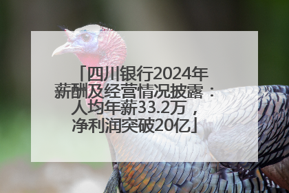 四川银行2024年薪酬及经营情况披露：人均年薪33.2万，净利润突破20亿