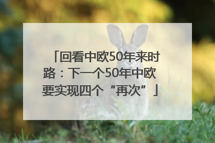 回看中欧50年来时路：下一个50年中欧要实现四个“再次”