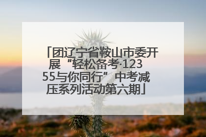 团辽宁省鞍山市委开展“轻松备考·12355与你同行”中考减压系列活动第六期