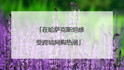 在哈萨克斯坦感受跨境网购热潮