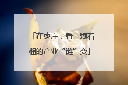在枣庄，看一颗石榴的产业“链”变