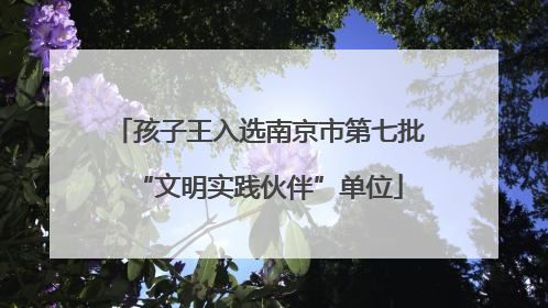 孩子王入选南京市第七批“文明实践伙伴”单位
