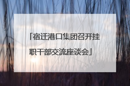 宿迁港口集团召开挂职干部交流座谈会
