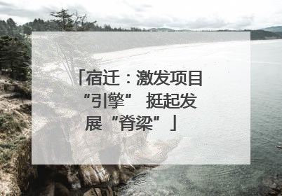 宿迁：激发项目“引擎” 挺起发展“脊梁”