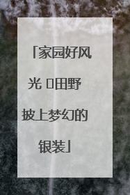 家园好风光 ⎮田野披上梦幻的银装