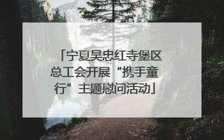 宁夏吴忠红寺堡区总工会开展“携手童行”主题慰问活动