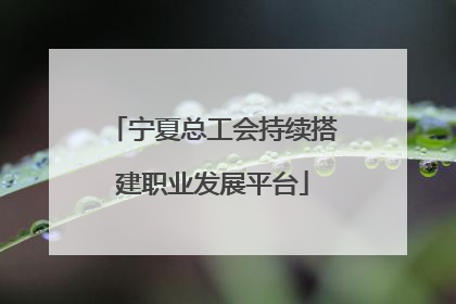 宁夏总工会持续搭建职业发展平台