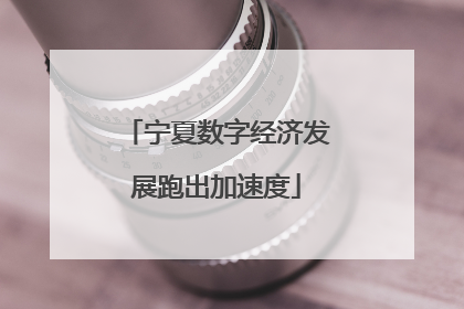 宁夏数字经济发展跑出加速度