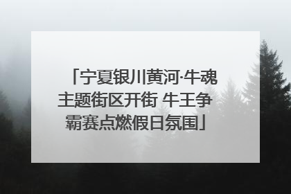 宁夏银川黄河·牛魂主题街区开街 牛王争霸赛点燃假日氛围