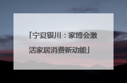 宁夏银川：家博会激活家居消费新动能