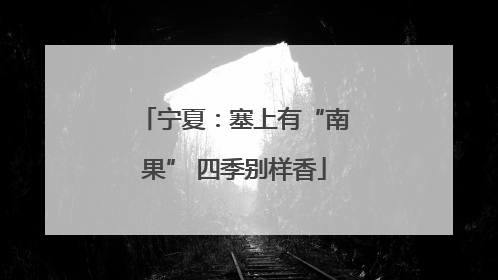 宁夏：塞上有“南果” 四季别样香