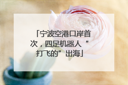 宁波空港口岸首次，四足机器人“打飞的”出海