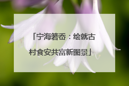 宁海箬岙：绘就古村食安共富新图景