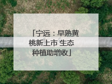 宁远：早熟黄桃新上市 生态种植助增收