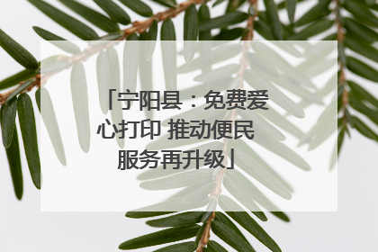 宁阳县：免费爱心打印 推动便民服务再升级