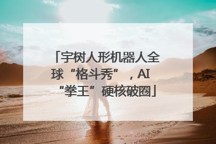 宇树人形机器人全球“格斗秀”，AI“拳王”硬核破圈