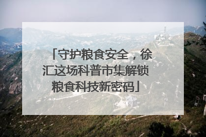 守护粮食安全，徐汇这场科普市集解锁粮食科技新密码