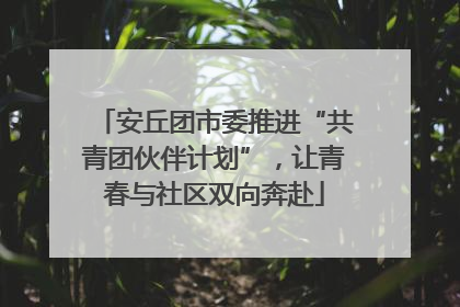 安丘团市委推进“共青团伙伴计划”，让青春与社区双向奔赴
