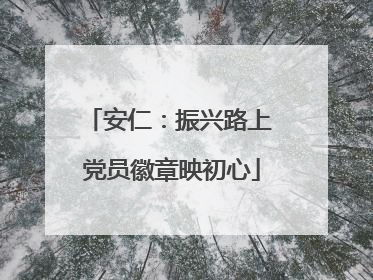 安仁：振兴路上 党员徽章映初心