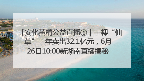 安化黄精公益直播①｜一棵“仙草”一年卖出32.1亿元，6月26日10:00新湖南直播揭秘安化黄精变黄金的“密码”