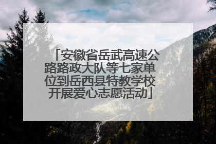 安徽省岳武高速公路路政大队等七家单位到岳西县特教学校开展爱心志愿活动