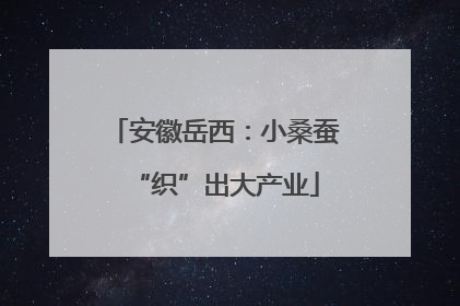 安徽岳西：小桑蚕“织”出大产业