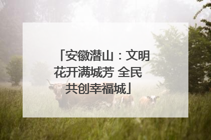 安徽潜山：文明花开满城芳 全民共创幸福城
