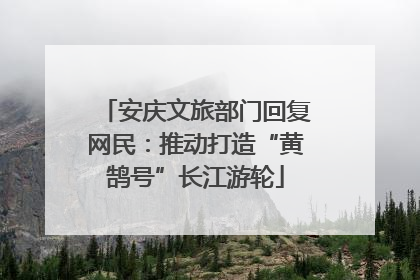 安庆文旅部门回复网民：推动打造“黄鹄号”长江游轮