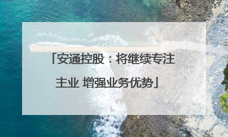 安通控股：将继续专注主业 增强业务优势