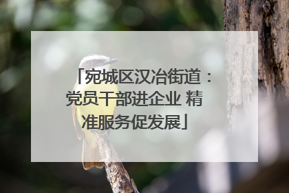 宛城区汉冶街道：党员干部进企业 精准服务促发展