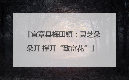 宜章县梅田镇：灵芝朵朵开 撑开“致富花”