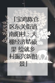 宝鸡陈仓区东关街道南阳村：大棚经济结硕果 绘就乡村振兴新图景