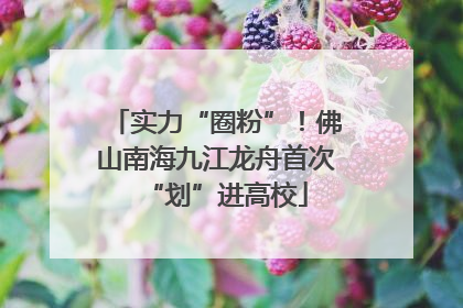 实力“圈粉”！佛山南海九江龙舟首次“划”进高校