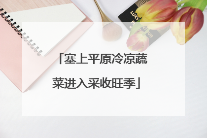 塞上平原冷凉蔬菜进入采收旺季