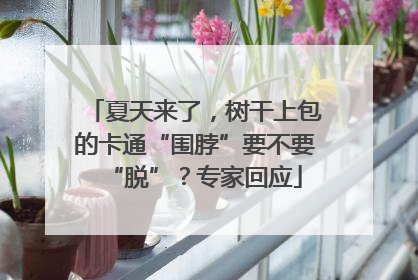 夏天来了，树干上包的卡通“围脖”要不要“脱”？专家回应