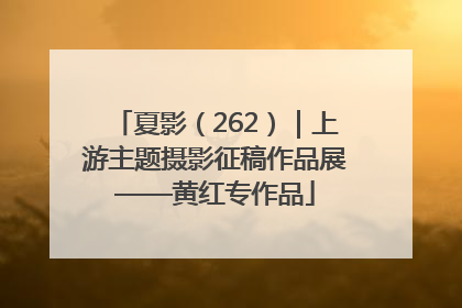 夏影（262）｜上游主题摄影征稿作品展——黄红专作品