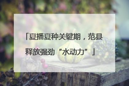 夏播夏种关键期，范县释放强劲“水动力”