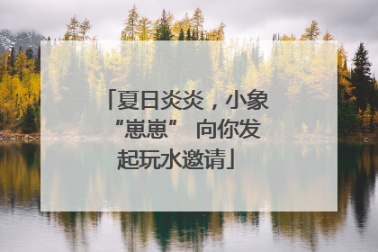 夏日炎炎，小象“崽崽” 向你发起玩水邀请
